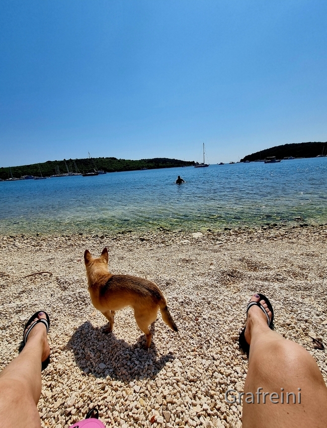 Erste Fahrt ans Meer