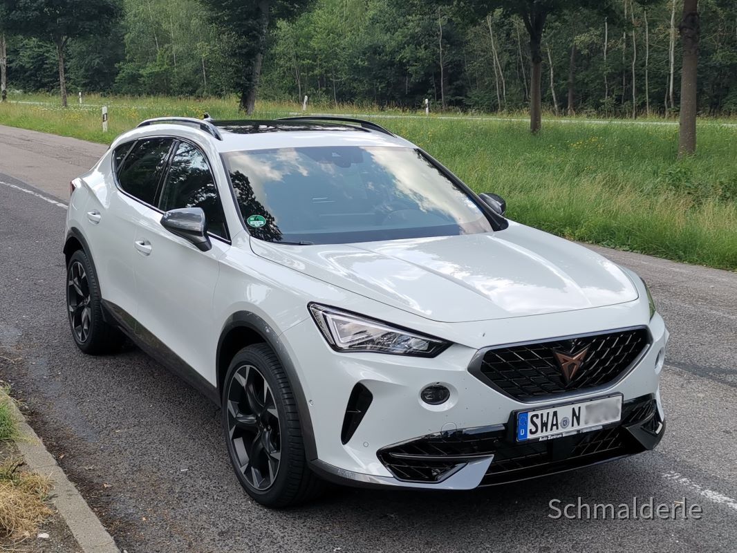 Formentor VZ 310 Nevada Weiß